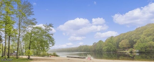 16 Old Chimney Rd, Randolph Twp, NJ 07869 - water view featuring a forest