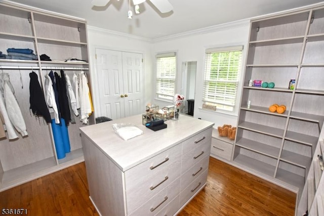 23 Pepperidge Rd, Morris Twp, NJ 07960 - spacious closet with dark wood-type flooring and a ceiling fan
