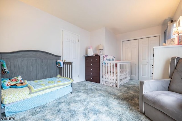 17 Iron Forge Vlg S, Pompton Lakes Boro, NJ 07442 - bedroom featuring carpet floors and a closet