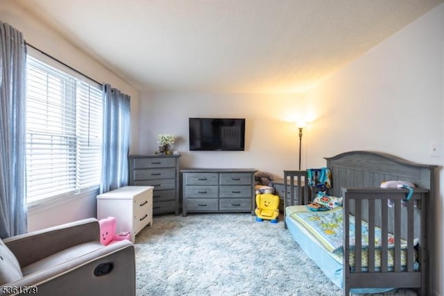 17 Iron Forge Vlg S, Pompton Lakes Boro, NJ 07442 - carpeted bedroom with multiple windows and a nursery area
