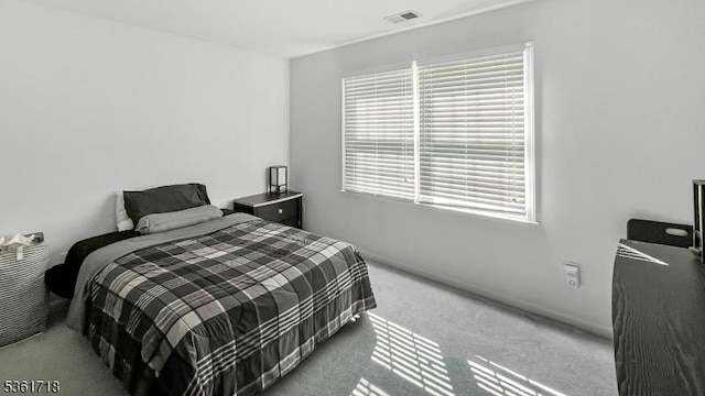 2 Murphy Dr, Hillsborough Twp, NJ 08844 - bedroom featuring carpet flooring