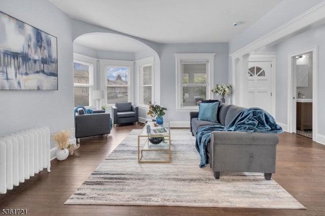 234 Trenton Ave, Clifton City, NJ 07011 - living room with radiator, dark wood-style floors, healthy amount of natural light, and arched walkways