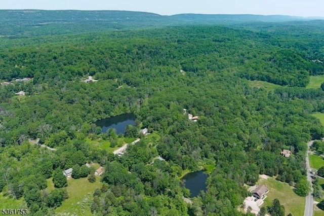 3 Bingham Ln, Blairstown Twp, NJ 07825 - view of property location featuring a forest and a large body of water