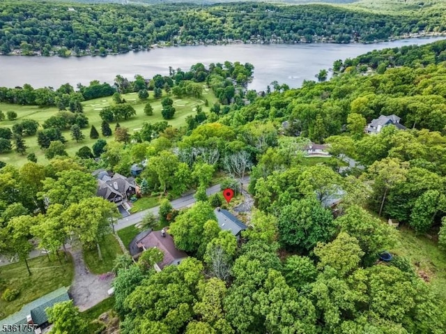 172 Alpine Trl, Sparta Twp, NJ 07871 - aerial view of property's location with a large body of water and a heavily wooded area