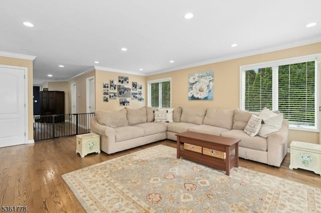 11 Putnam Ave, Berkeley Heights Twp, NJ 07922 - living room with healthy amount of natural light, ornamental molding, recessed lighting, and wood finished floors