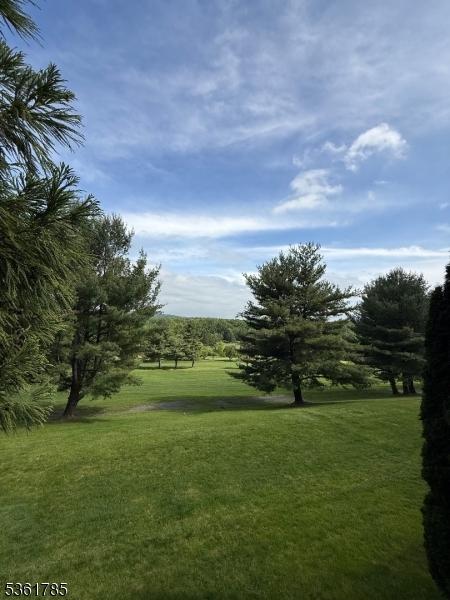 20 Pinehurst Dr, Washington Twp, NJ 07882 - surrounding community with a lawn