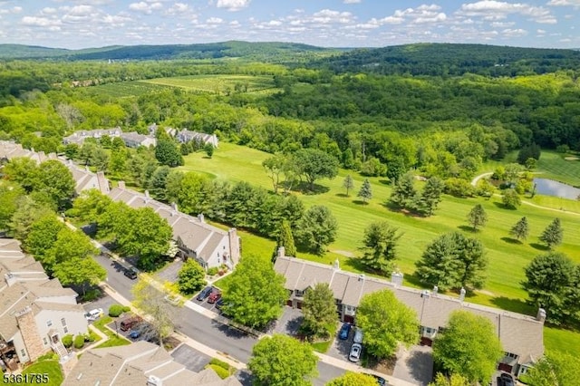 20 Pinehurst Dr, Washington Twp, NJ 07882 - aerial view of residential area with a heavily wooded area and a nearby body of water