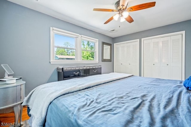 80 Cedar Tree Dr, Vernon Twp, NJ 07422 - bedroom featuring multiple closets, ceiling fan, and wood finished floors