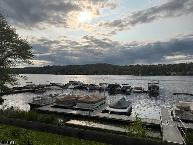269 E Shore Trl, Sparta Twp, NJ 07871 - dock area with a water view and a wooded view