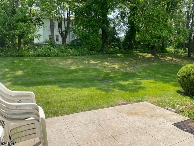 55 Weatherhill Rd, Hamburg Boro, NJ 07419 - view of green lawn