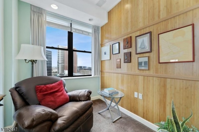 111 Mulberry St Unit Sky, Newark City, NJ 07102 - living area featuring wooden walls, carpet floors, baseboards, and a city view