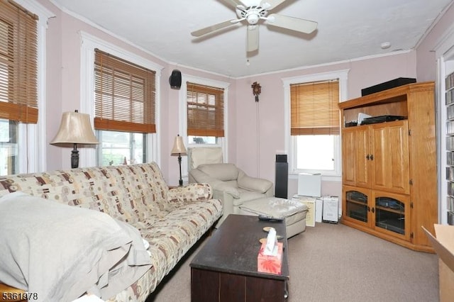 267 Hoover Ave, Bloomfield Twp, NJ 07003 - living area featuring a ceiling fan, carpet, and crown molding