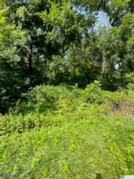 80-84 Route519, Pohatcong Twp, NJ 08865