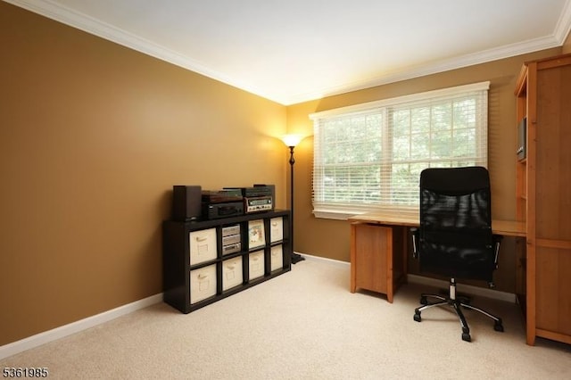7 Watchung Dr, Bernards Twp, NJ 07920 - office featuring crown molding, light carpet, and baseboards