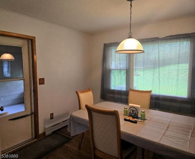 355 State Route 94, Fredon Twp, NJ 07860 - dining area with a baseboard heating unit and ornamental molding
