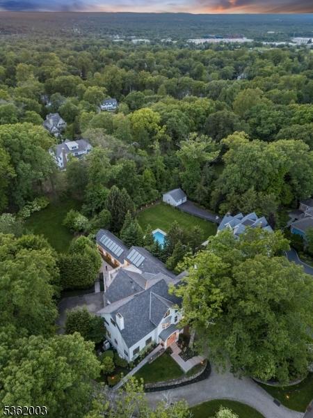 60 Fernwood Rd, Summit City, NJ 07901 - drone / aerial view of a forest