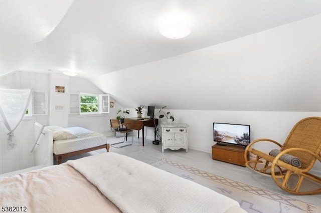 902 Mount Benevolence Rd, Stillwater Twp, NJ 07860 - bedroom with vaulted ceiling and baseboards