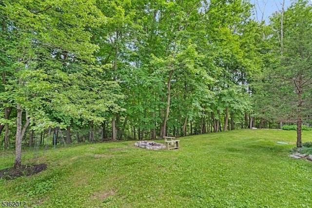 902 Mount Benevolence Rd, Stillwater Twp, NJ 07860 - view of green lawn