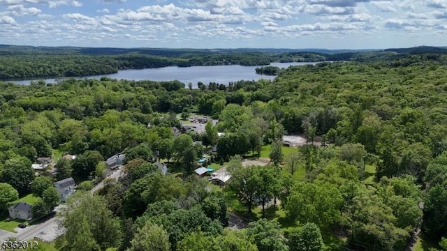 902 Mount Benevolence Rd, Stillwater Twp, NJ 07860 - bird's eye view of a forest and a nearby body of water