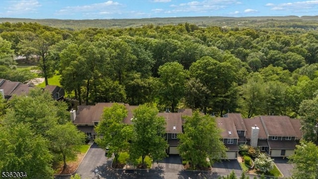 18 Inverrary Pl, Clinton Twp, NJ 08801 - bird's eye view of a forest
