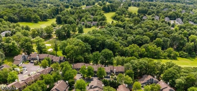18 Inverrary Pl, Clinton Twp, NJ 08801 - aerial view of a forest