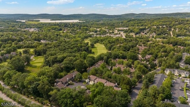 18 Inverrary Pl, Clinton Twp, NJ 08801 - aerial view of property and surrounding area with a heavily wooded area