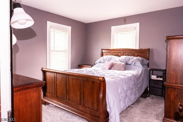 24 Ryerson Ave, Newton Town, NJ 07860 - bedroom featuring carpet floors and multiple windows