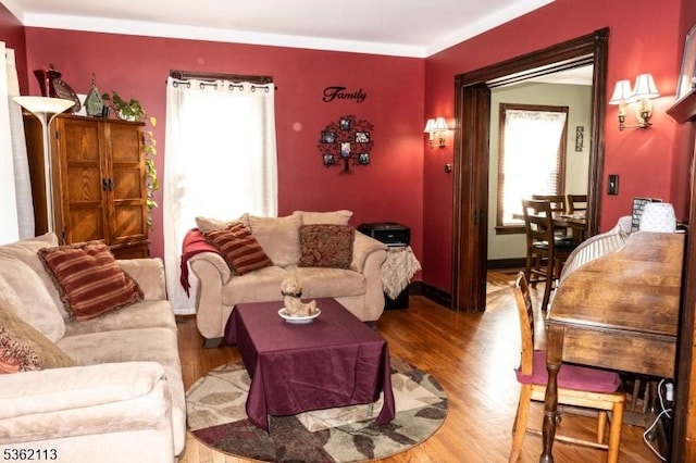 24 Ryerson Ave, Newton Town, NJ 07860 - living area featuring wood finished floors, baseboards, and ornamental molding