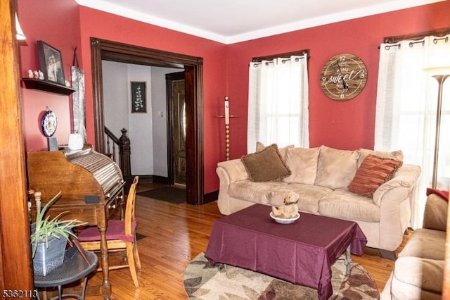 24 Ryerson Ave, Newton Town, NJ 07860 - living area featuring light wood-style floors