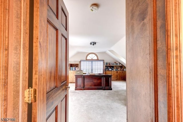 1 Willow Brook Ln, Clinton Twp, NJ 08801 - unfurnished office featuring light carpet and vaulted ceiling