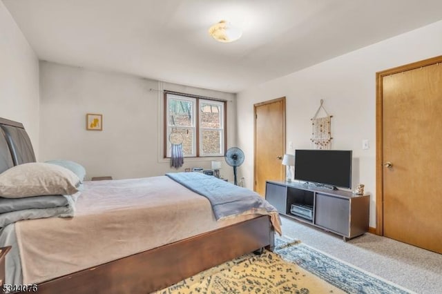 192 Market St, Belvidere Twp, NJ 07823 - bedroom with carpet