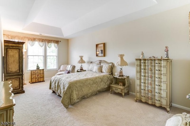 24 Quartz Way, Woodland Park, NJ 07424 - bedroom with light carpet, a tray ceiling, and baseboards