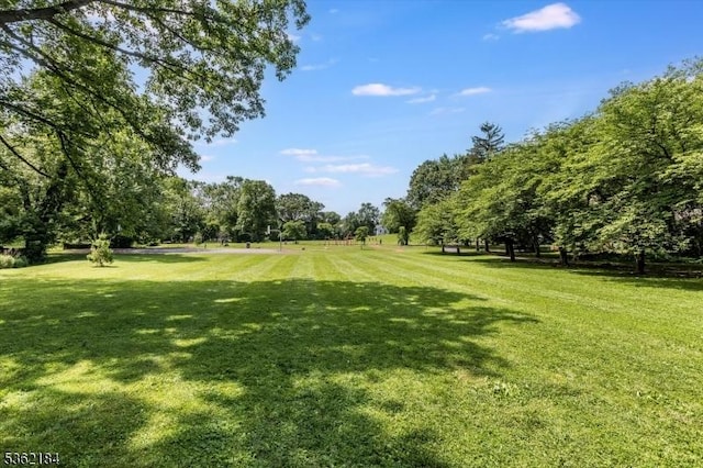 5 Canterbury Dr, Montclair Twp, NJ 07042 - view of property's community featuring a yard and view of wooded area