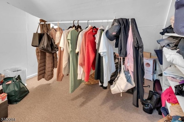 280 Highland Ave Unit 3, Kearny Town, NJ 07032 - walk in closet featuring carpet