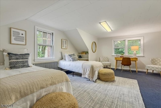 248 Knickerbocker Rd, Closter Boro, NJ 07624 - bedroom featuring radiator heating unit, vaulted ceiling, carpet flooring, and baseboards