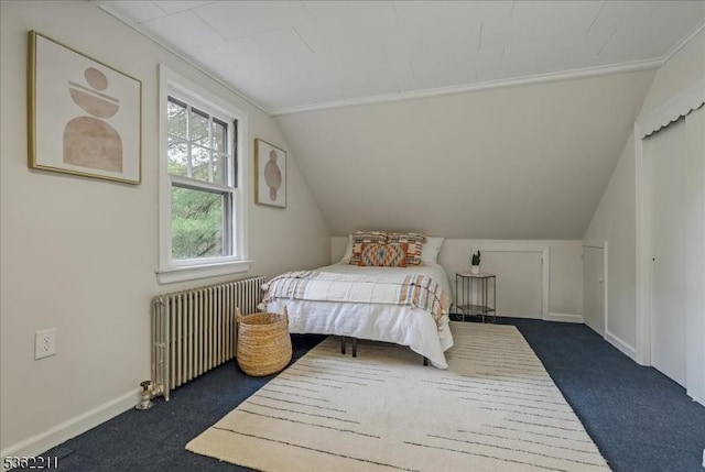 248 Knickerbocker Rd, Closter Boro, NJ 07624 - bedroom with radiator heating unit, dark colored carpet, vaulted ceiling, and baseboards