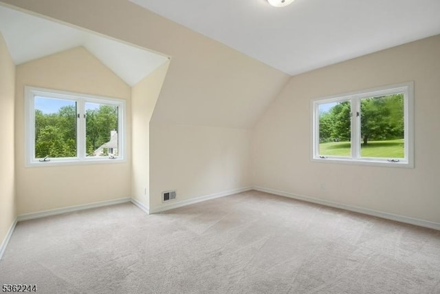 25 Hook Mountain Dr, Clinton Twp, NJ 08801 - bonus room with plenty of natural light, light colored carpet, vaulted ceiling, and baseboards