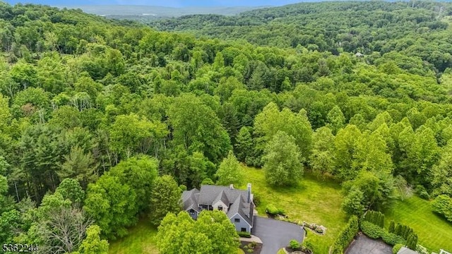 25 Hook Mountain Dr, Clinton Twp, NJ 08801 - aerial view of property and surrounding area with a heavily wooded area