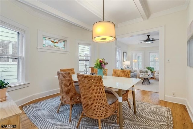 179 W Fairview Ave, South Orange Village Twp, NJ 07079 - dining area featuring beamed ceiling, plenty of natural light, light wood-style floors, and ceiling fan