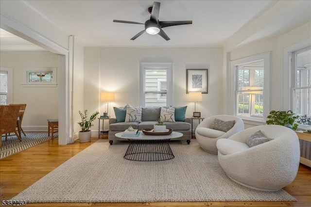 179 W Fairview Ave, South Orange Village Twp, NJ 07079 - living room with wood finished floors, plenty of natural light, a ceiling fan, and ornamental molding