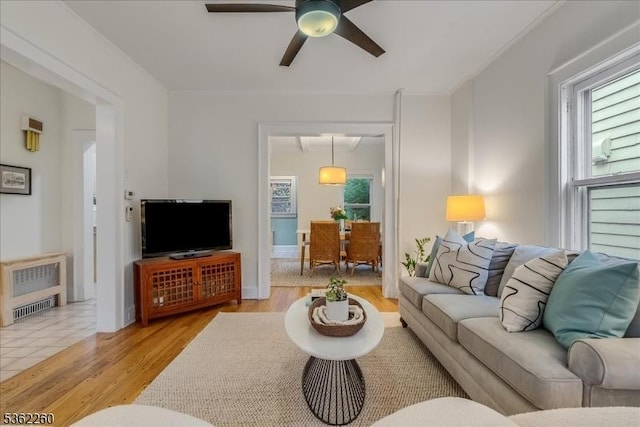 179 W Fairview Ave, South Orange Village Twp, NJ 07079 - living area featuring plenty of natural light, ceiling fan, light wood finished floors, and radiator