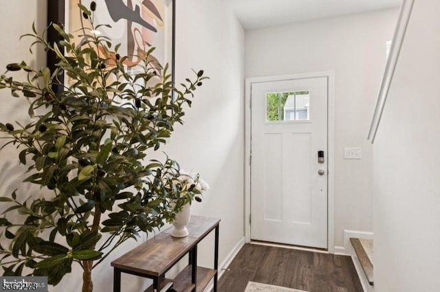 51 Peregrine Way, Burlington Twp, NJ 08016 - entrance foyer with dark wood-type flooring and baseboards