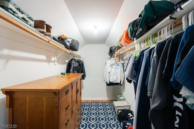 41 Wilkinson Rd, Randolph Twp, NJ 07869 - walk in closet featuring vaulted ceiling