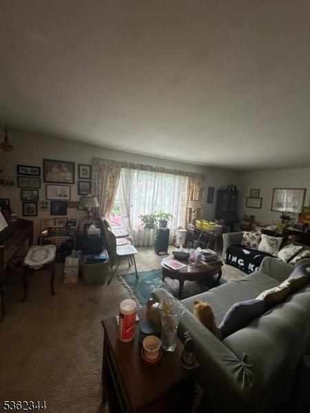 61 N Hillside Ave, Roxbury Twp, NJ 07847 - view of carpeted living area