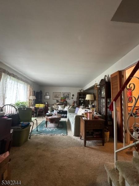 61 N Hillside Ave, Roxbury Twp, NJ 07847 - living room featuring carpet floors