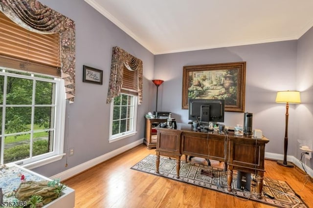 16 Olde York Rd, Randolph Twp, NJ 07869 - office space featuring crown molding, wood finished floors, and plenty of natural light
