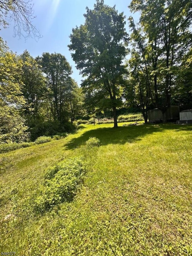 228 Berkshire Valley Rd, Roxbury Twp, NJ 07885 - view of grassy yard