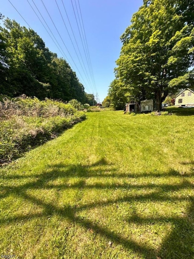 228 Berkshire Valley Rd, Roxbury Twp, NJ 07885 - view of green lawn
