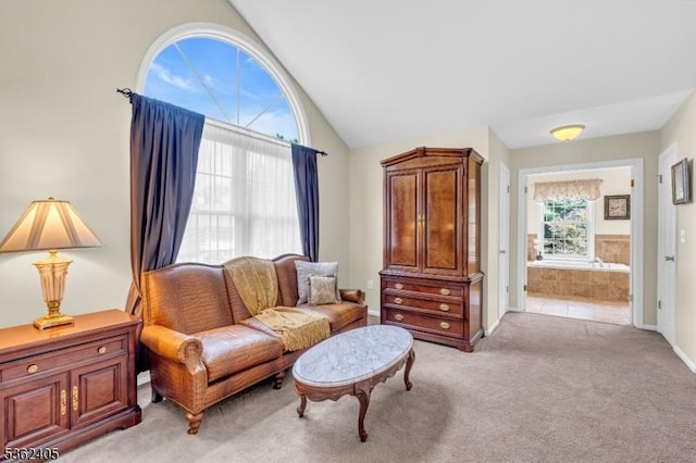 61 Bradley Ln, Bridgewater Twp, NJ 08807 - living room featuring light carpet and vaulted ceiling