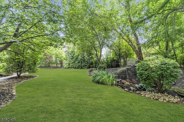 61 Bradley Ln, Bridgewater Twp, NJ 08807 - view of yard